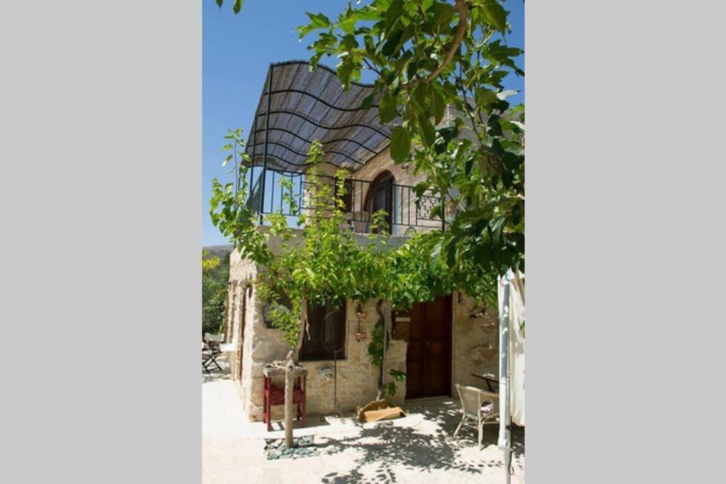 Petite Olive House Βίλα Σητεία Εξωτερικό φωτογραφία